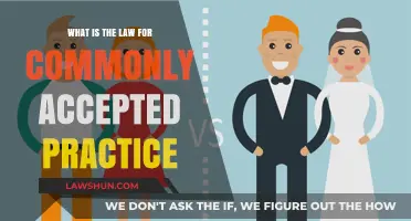 Legal Precedent: Common Practice, Law