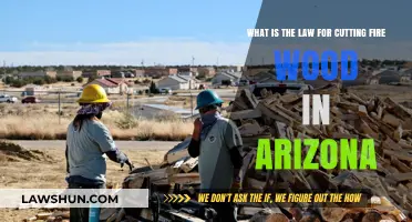 Arizona Firewood Cutting Laws: What You Need to Know