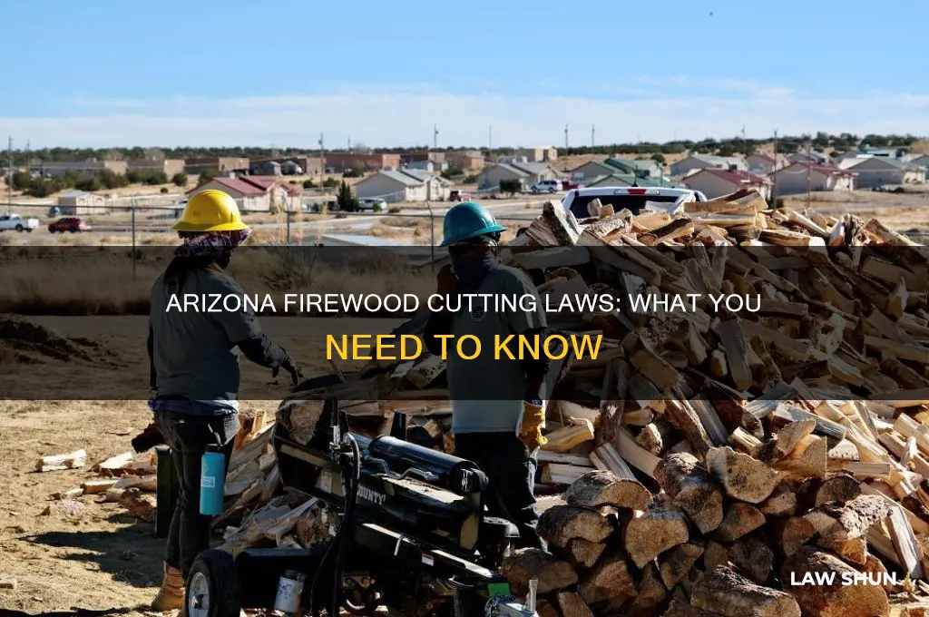 what is the law for cutting fire wood in arizona