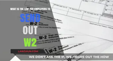 Employer W-2 Obligations: Legal Deadlines and Requirements Explained
