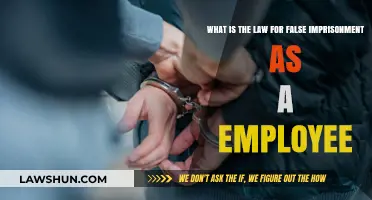 False Imprisonment at Work: Understanding Employee Rights and Legal Consequences