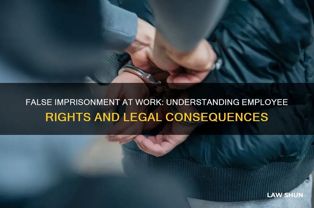 what is the law for false imprisonment as a employee