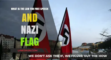 Free Speech Limits: Nazi Flags and Legal Boundaries Explained