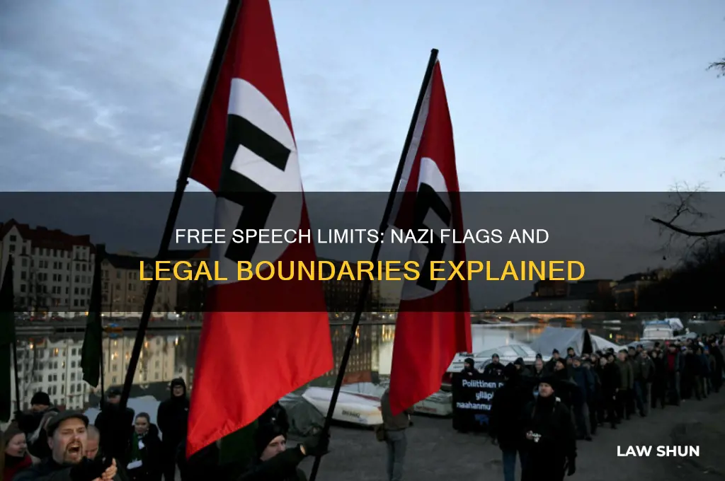 what is the law for free speech and nazi flag