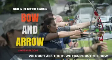 Understanding Bow and Arrow Ownership: Legal Requirements and Regulations