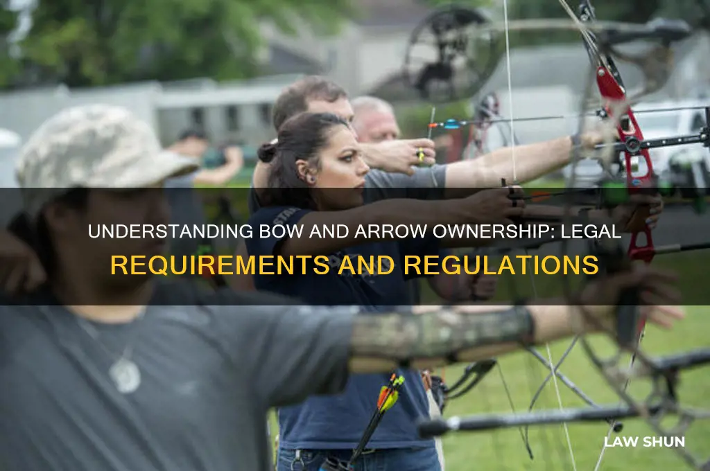 what is the law for having a bow and arrow
