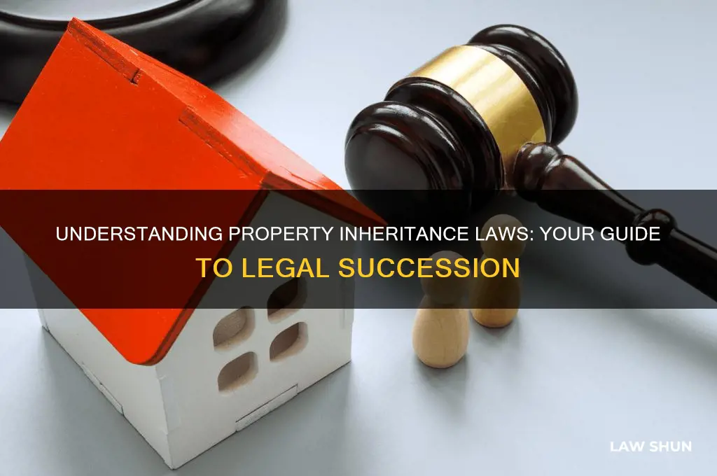 what is the law for inheritance of property