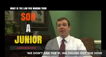 Naming Your Son Junior: Legal Considerations and Family Traditions Explained
