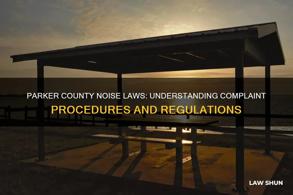 what is the law for noise complaints in parker co