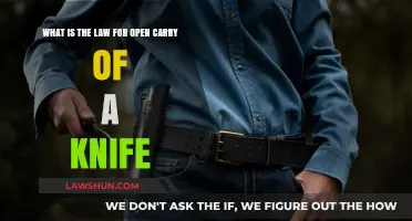 Understanding Open Carry Knife Laws: Legal Guidelines and Restrictions Explained