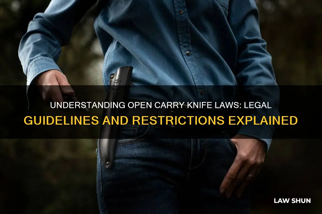 what is the law for open carry of a knife