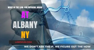 Understanding Albany, NY's Legal Response to Physical Abuse: Key Laws Explained