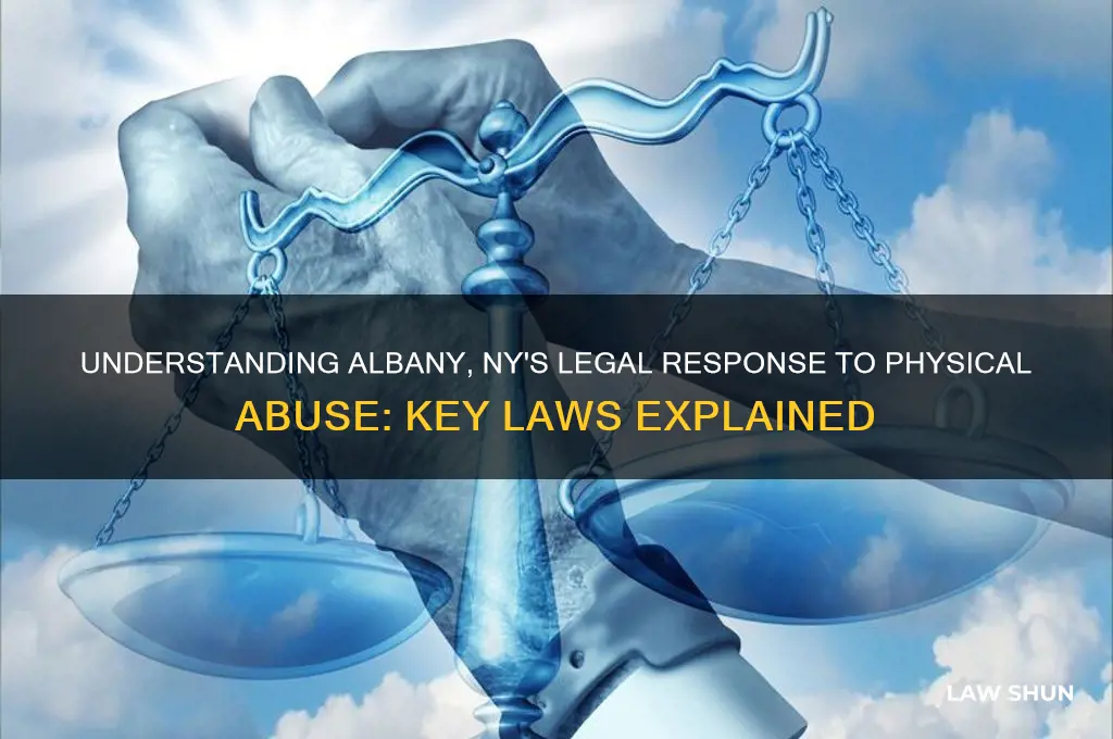 what is the law for physical abuse at albany ny