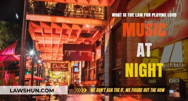 Late-Night Noise Laws: Understanding Rules for Playing Loud Music at Night
