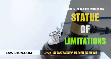 Perjury Laws Explained: Statute of Limitations and Legal Consequences