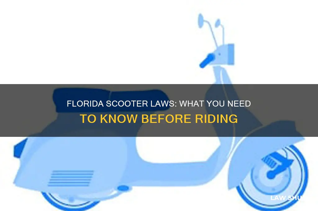 what is the law for riding a scooter in fla