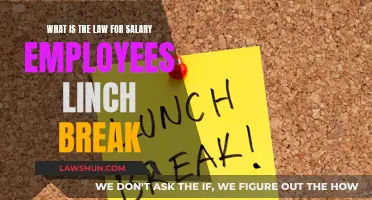 Salary Employees: Understanding Lunch Break Laws