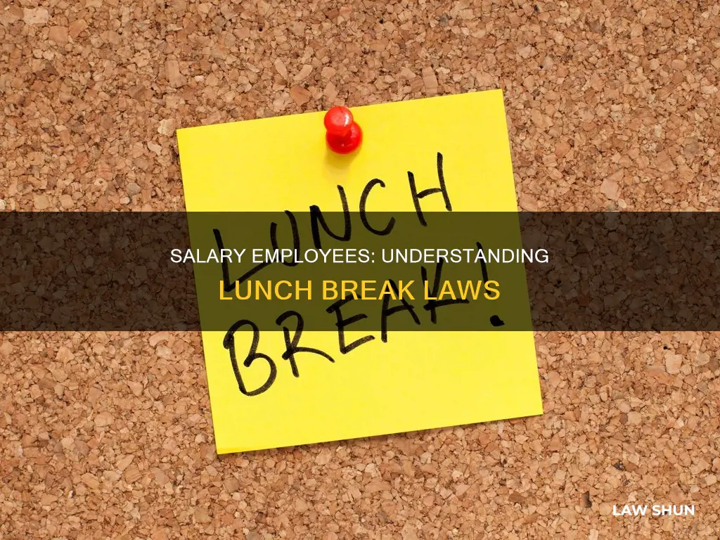 what is the law for salary employees linch break