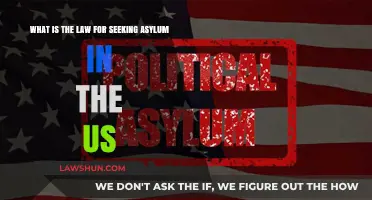 Understanding US Asylum Law: Rights, Process, and Legal Requirements