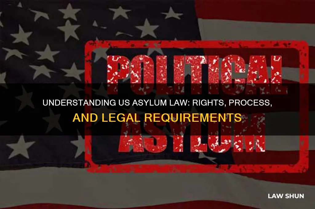 what is the law for seeking asylum in the us