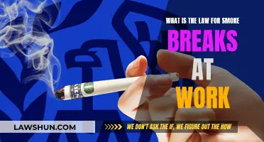 Understanding Smoke Breaks: Worker's Rights and the Law