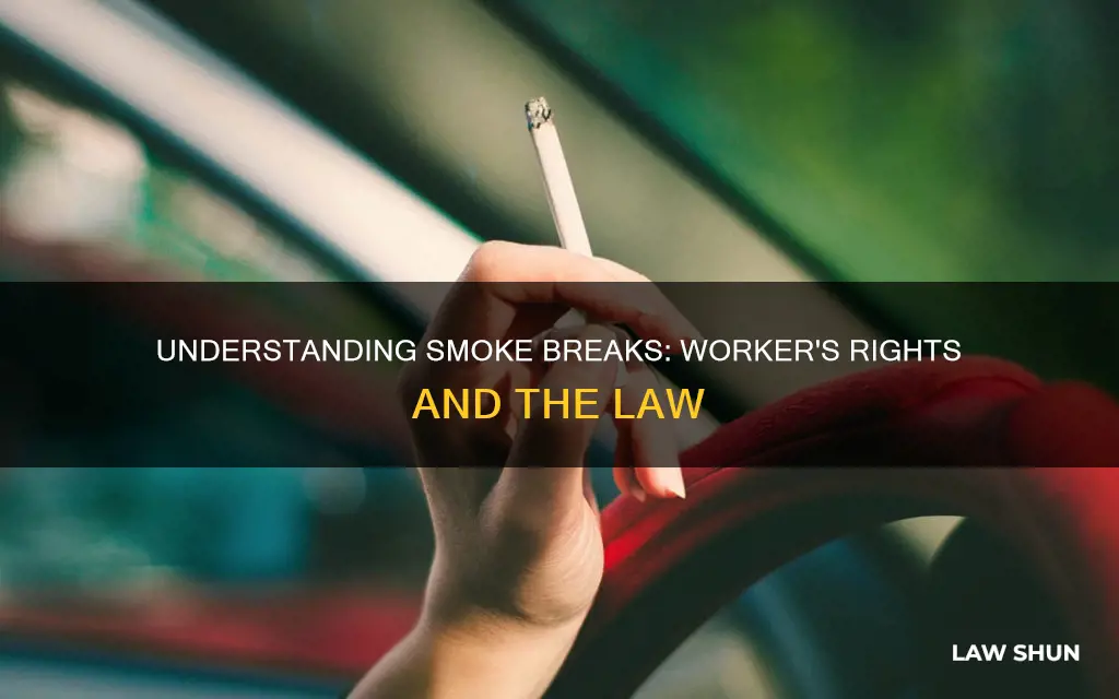 what is the law for smoke breaks at work