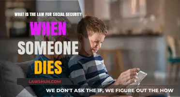 Understanding Social Security Death Benefits: Legal Rights and Procedures