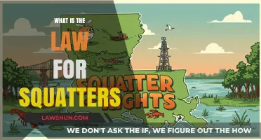 Understanding Squatter Rights: A Legal Guide for Property Owners and Tenants