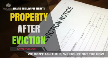 Understanding Tenant Property Rights Post-Eviction: Legal Guidelines Explained