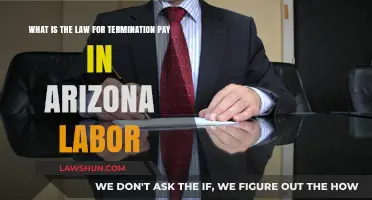 Arizona Termination Pay Laws: Understanding Your Rights and Employer Obligations