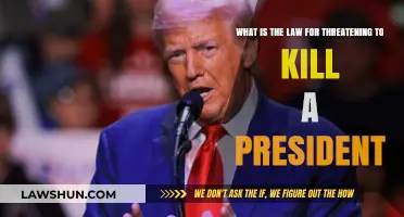 Threatening to Kill a President: Legal Consequences and Penalties Explained