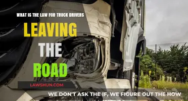 Truck Drivers' Legal Obligations: Understanding Road Departure Laws
