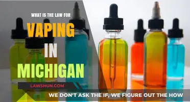 Michigan Vaping Laws: Understanding Regulations and Restrictions for E-Cigarettes