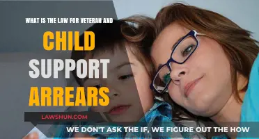 Veteran Child Support Arrears: Legal Obligations and Consequences Explained