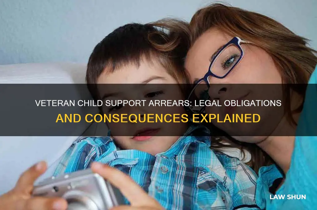 what is the law for veteran and child support arrears