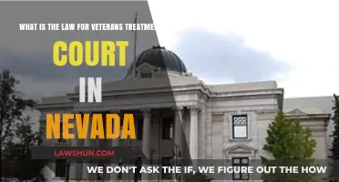Nevada's Veterans Treatment Court: Understanding Legal Support for Veterans