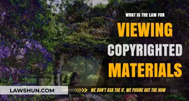 Understanding Copyright Law: Legal Boundaries for Viewing Protected Content