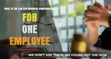 Understanding Workers' Compensation Laws for Single-Employee Businesses