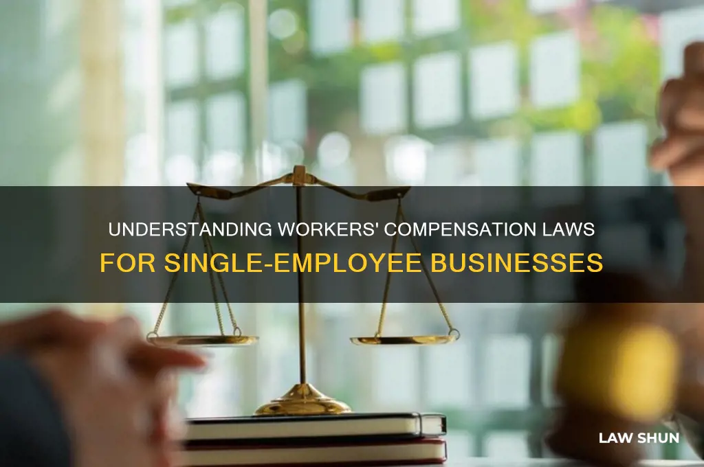 what is the law for workers compensation for one employee
