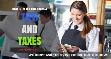 Waitress Tips: Taxes and Laws Explained