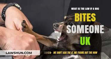 Dog Bite Law: Owner's Responsibility in the UK
