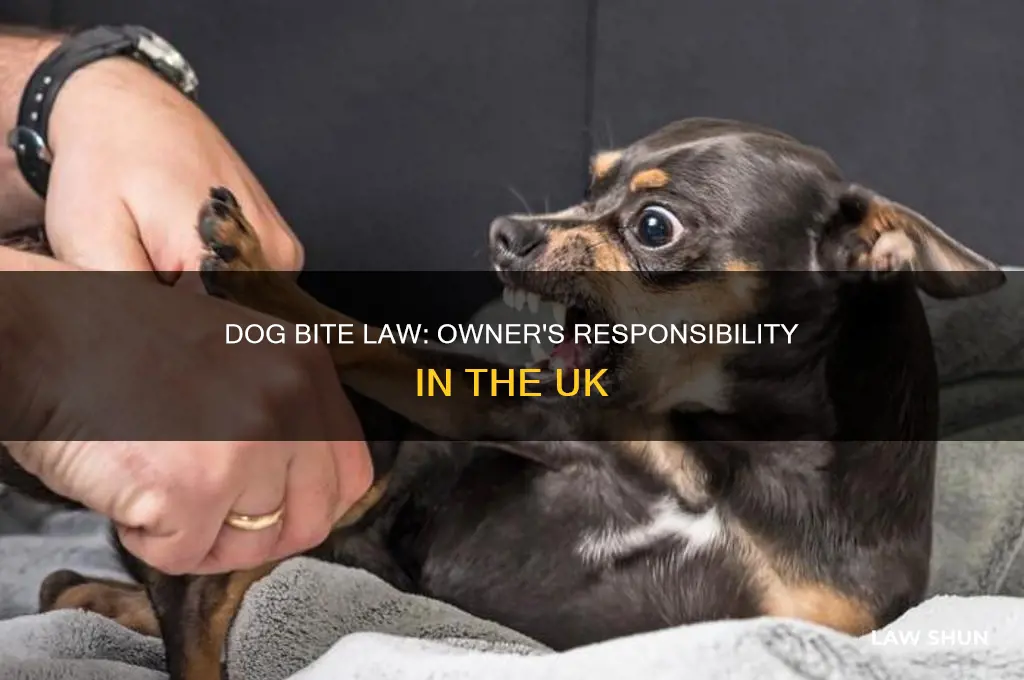 what is the law if a dog bites someone uk
