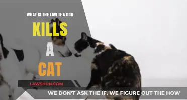 Dog Attacks Cat: Legal Consequences and Owner Responsibilities Explained