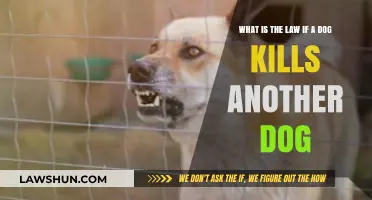 Dog-on-Dog Attacks: Legal Consequences When One Dog Kills Another
