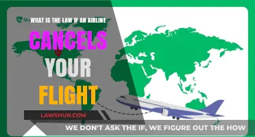 Flight Canceled? Know Your Legal Rights and Compensation Options