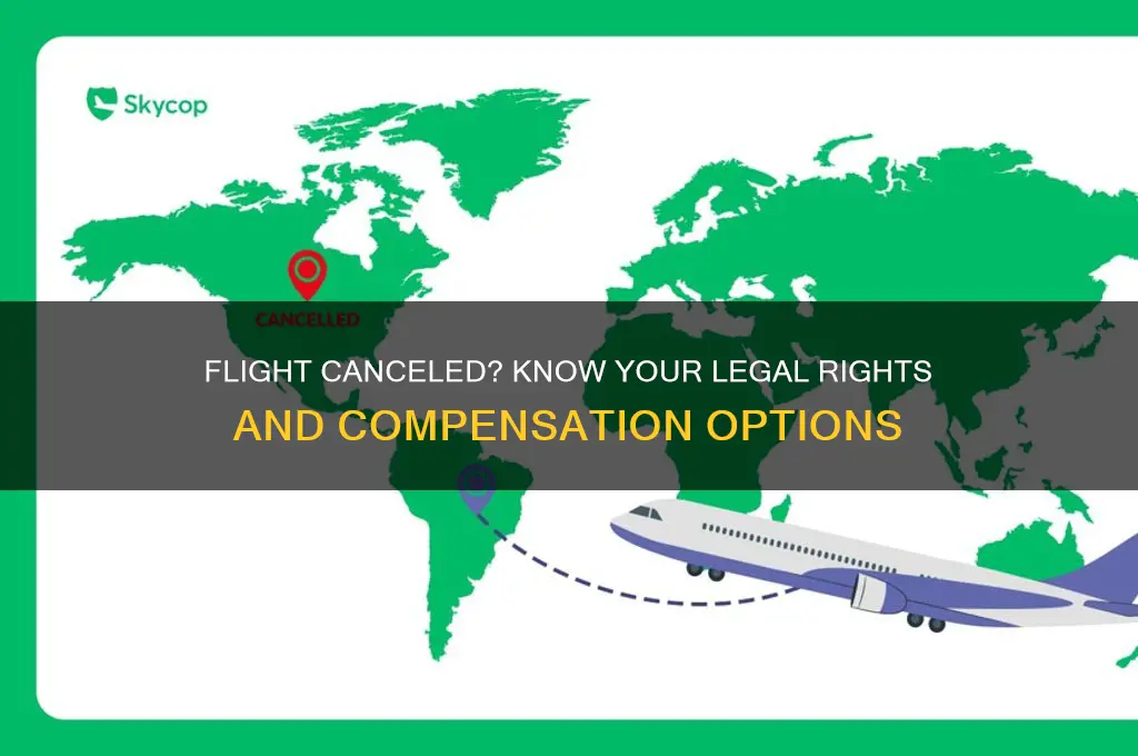 what is the law if an airline cancels your flight