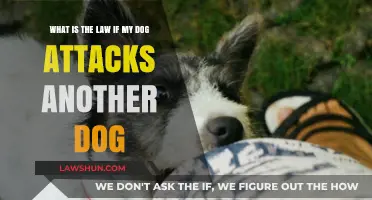 Dog Attack Liability: Understanding Legal Consequences for Pet Owners