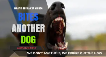 Dog Bite Laws: Understanding Liability When Your Dog Bites Another Dog