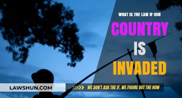 Invasion Laws: Understanding Your Rights and Responsibilities During Foreign Occupation