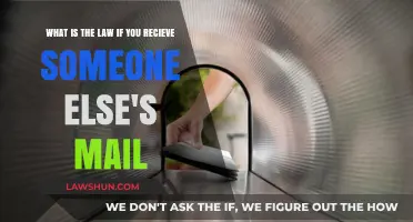 Receiving Someone Else's Mail: Understanding Legal Responsibilities and Obligations